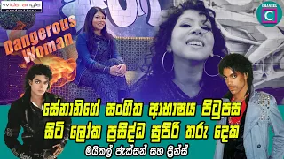 🥰 සේනානිගේ සංගීත ආභාෂය පිටුපස සිටි ලෝක ප්‍රසිද්ධ සුපිරි තරු දෙකමයිකල් ජැක්සන් සහ ප්‍රින්ස්..Senani