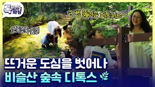 발길 닿는 곳마다 초록 숲길... 🌿 스트레스 로그아웃  비슬산 숲속 디톡스