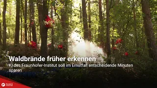 Detecting Forest Fires Earlier: Fraunhofer Institute AI Aims to Save Critical Minutes in Emergencies