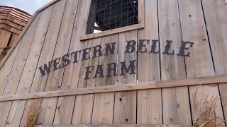 Western Belle Farm brings fall fun to McClennan County despite brutal summer heat
