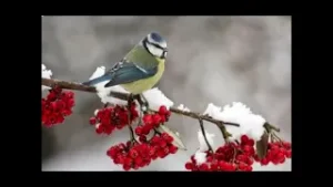 Εξ Αφορμής: Ο Φεβρουάριος