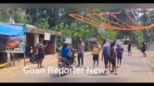 Goan Reporter: Traditional Holi Celebration by Mirabag Bandhara Protesters at protest site 