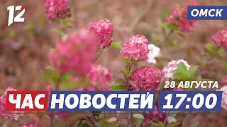 Bukhgolts Square is being landscaped / Ministry of Emergency Situations training exercises / "Pro...
