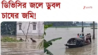 Jangipara Waterlogged | ডিভিসির জলে প্লাবিত জাঙ্গিপাড়া,  এলাকা পরিদর্শনে বিজেপি বিধায়ক
