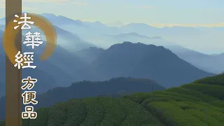 【靜思妙蓮華】法華經方便品第二 - 當生大信力 - 第223集｜共修版