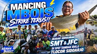STRIKE!!! MANCING BARENG SEDULURAN SMT & JFC DI TAMBAK TLOCOR