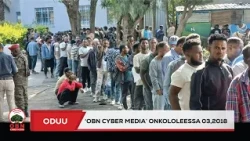 Oduu OBN Cyber Media Onkoloolessa 03,2019