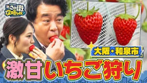 【よゐこ有野×大阪】春だ！イチゴだ！果実王国・和泉市でイチゴ食べまくり／大阪の街の“攻略法”を探す街ブラ
