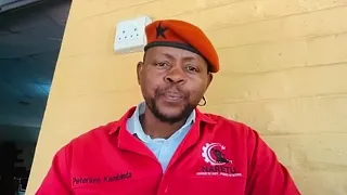 Namibian falls victim to South African unrest