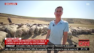Shepherds revolt and threaten protests: "We can no longer make a living from our work"