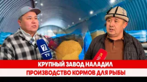 Крупный завод наладил производство кормов для рыбы