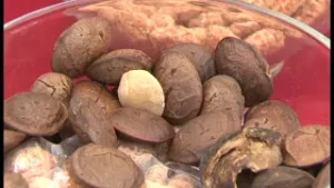 MAG RENDICIÓN DE CUENTAS