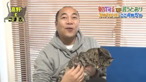 今日は猫の日?ＯＡ先出し！こんな高野、見たことない！？【きしたかの高野とネコ】
