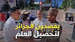 University studies in Algeria attract students from African countries.