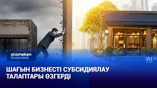 Шағын бизнесті субсидиялау талаптары өзгерді