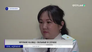 Хрупкие на вид   сильные в службе