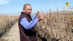 Գյուղացուն թողել են մենակ, բայց քաղա՛քն էլ, գյո՛ւղն էլ, երկի՛րն էլ պահողը գյուղացին է. նոյակերտցի