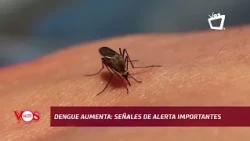 Dengue cases on the rise in Nicaragua: What are the warning signs and how to prevent it