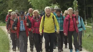 Soziale Stütze: „Kein Ehrenamt ohne Senioren“