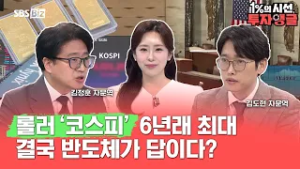 [1%의 시선, 투자앵글] 변동성 6년래 최고… 결국 삼성·하이닉스?