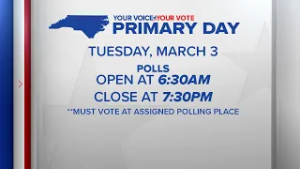 Your Voice Your Vote: Primary Election