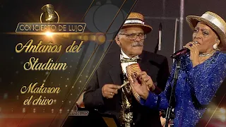 [Concierto De Lujo] – Los Antaños del Stadium – El chivo