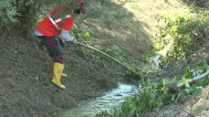 200 le aziende candidate a lavorare al fianco del CB2 sui corsi d’acqua del comprensorio