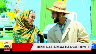 Birrii na harkaa baasuufii miti.