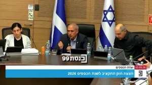 "אם הכנסת פונה למשרד האוצר, באיזה עולם אתם לא עונים למעלה מחודשיים?" - ח"כ שירי פנה לנציגי האוצר
