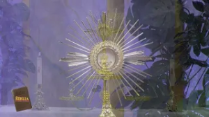 El Juicio Final y la Soledad de los Ancianos: Un Llamado a la Caridad | La Biblia Ilumina tu Vida