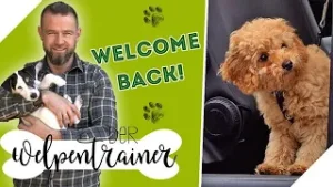 Andrés neue Klasse: Das sind die Welpen! ?? | Der Welpentrainer | sixx