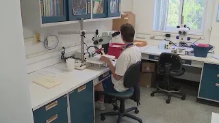 Here's where West Nile virus has been detected in Connecticut in 2026