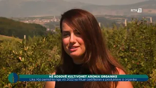 Toka - Në Kosovë kultivohet aronia organike 30.09.2026