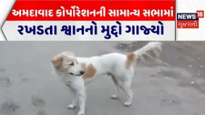 Ahmedabad AMC Meeting | અમદાવાદ કોર્પોરેશનની સામાન્ય સભામાં રખડતા શ્વાનનો મુદ્દો ગાજ્યો | AMC News
