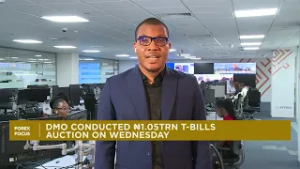 Access: Investors cherry-pick across T-Bills curve