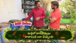 మట్టిలో వానపాములు రావాలంటే ఇలా చెయ్యండి! ! | Perati Ruchulu | 6th Feb 2025  | ETV Abhiruchi
