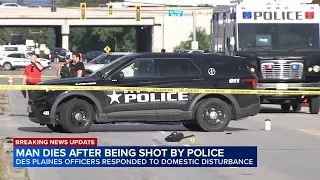Man dies after Des Plaines officer-involved shooting during 'domestic disturbance,' officials say