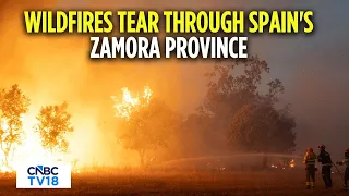 Spain Wildfires: Firefighters, Residents Fight Massive Blaze in Zamora | Europe | N18G