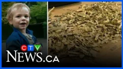 Two-year-old shreds parents' US$1,000 in cash | From the Archives