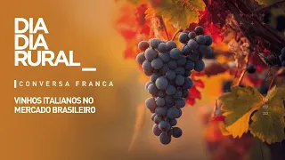 Italian wines in the Brazilian market