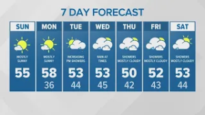 Mostly sunny, high of 55 Sunday | KING 5 Weather