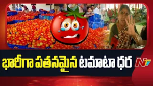 Tomato Prices: భారీగా పడిపోయిన టమాటా ధర | Warangal | Special Report | NTV Telugu