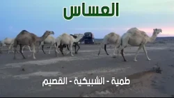 العساس | طمية ـ الشبيكية ـ القصيم ( 17-2-1440هـ )