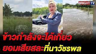 Flooding is no problem! “A Suppachai” lets his near-harvest rice fields submerge, offering them a...