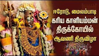 ஈரோடு, மைலம்பாடி கரிய காளியம்மன் திருக்கோயில் ஆவணி திருவிழா | Bhakthi News