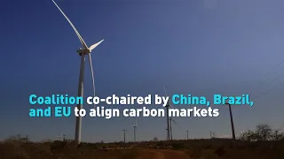 Coalition co-chaired by China, Brazil, and EU to align carbon markets