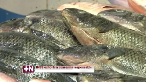 IMSS Coatzacoalcos exhorta al consumo responsable de mariscos durante la cuaresma