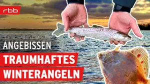 So fangt Ihr Plattfische und Meerforellen | #192 | Angelpodcast