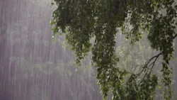 Low-pressure system to bring heavy rain to the country this Saturday