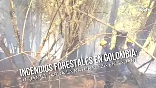 Forest Fires in Colombia: How Long Does Nature Take to Heal? TvAgro by Juan Gonzalo Angel